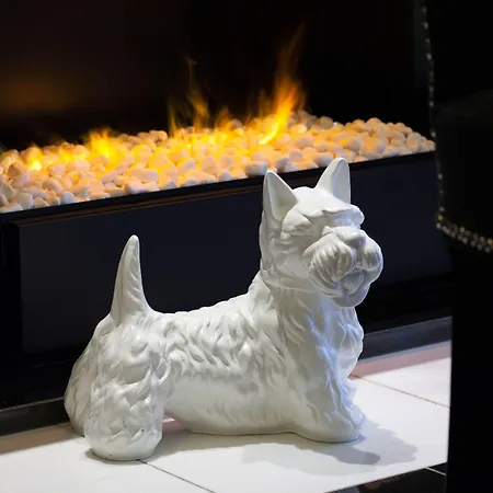 Petit Madeleine Hotel