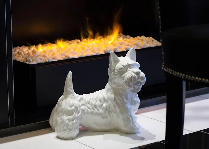 小马德琳酒店 酒店