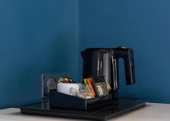 小马德琳酒店 巴黎